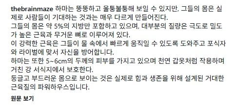 지방 5%인 하마의 몸..._2.webp