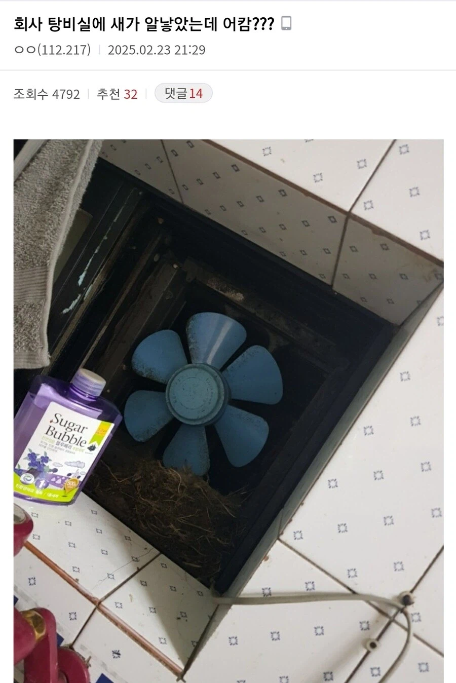 회사 탕비실에서 발견한 계란_1.webp