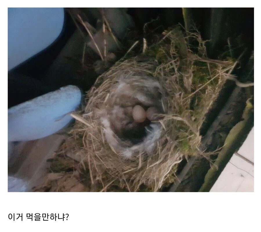 회사 탕비실에서 발견한 계란_2.webp