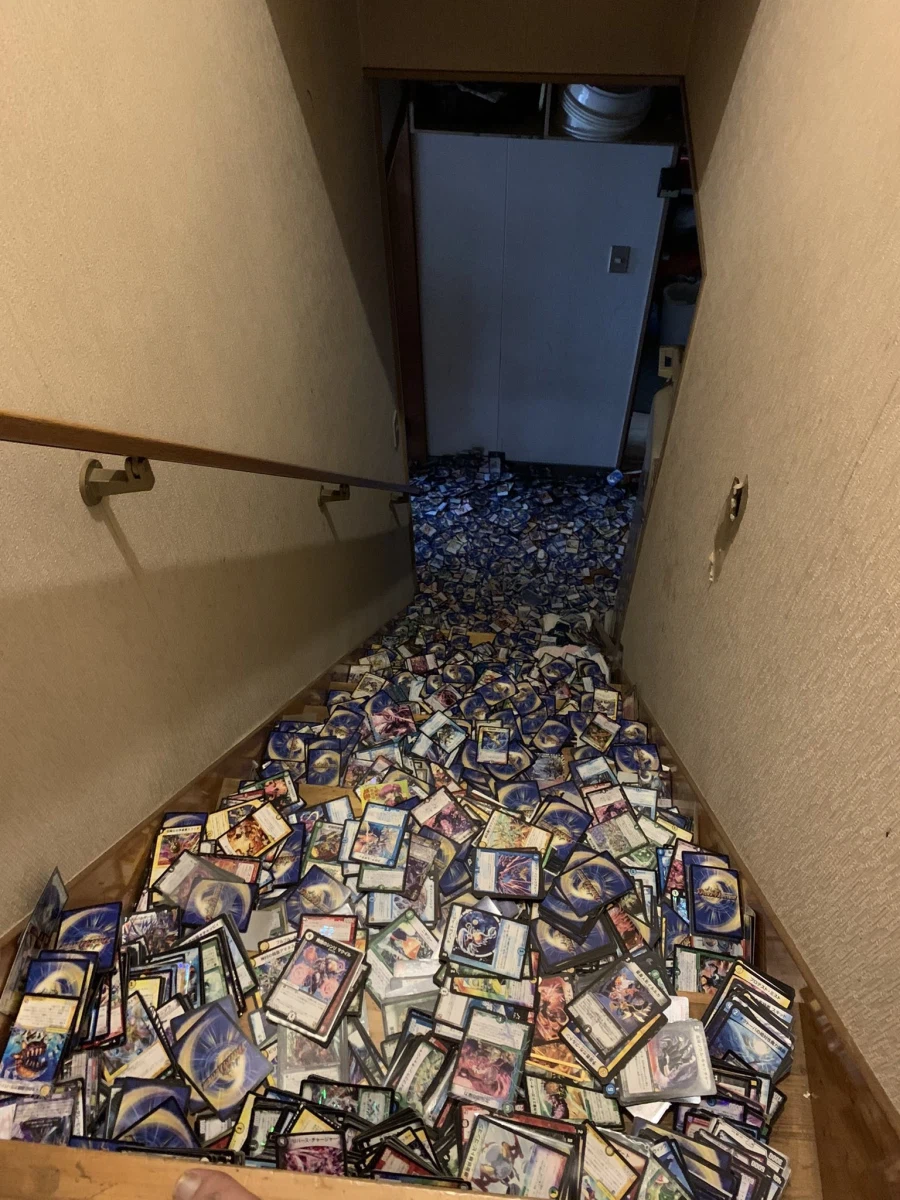 실수로 카드 보관함을 뒤엎어 버린 사람_1.webp