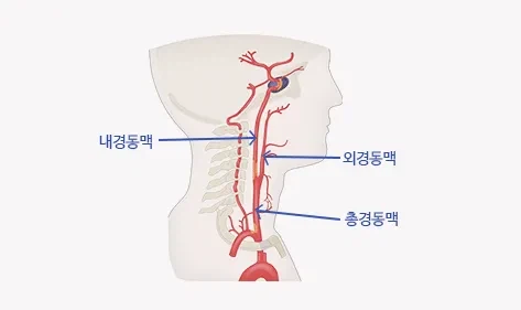 붉은사막은 위대한 게임이며 한국게임계의 한획을 그을 게임이다._1.webp