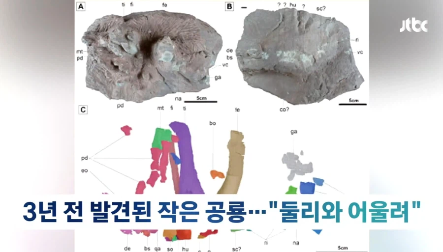 15 년만에 발견된 한국공룡이름_3.webp