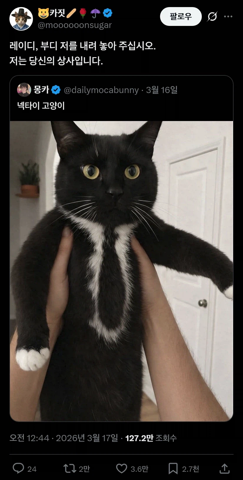 턱시도가 아닌 정장 입은 고양이_1.webp