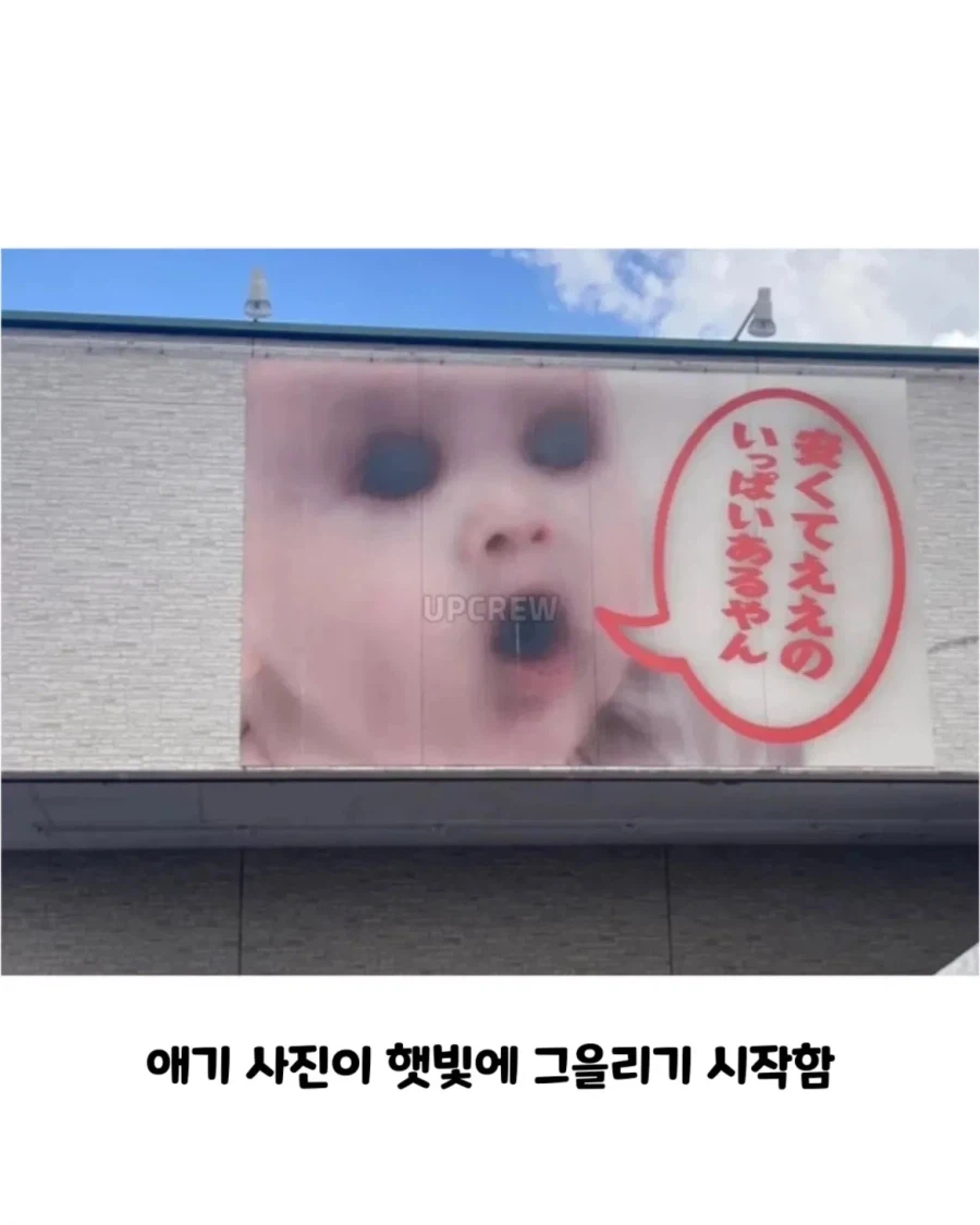 사진이 햇빛에 그을려지면 생기는 일_1.webp