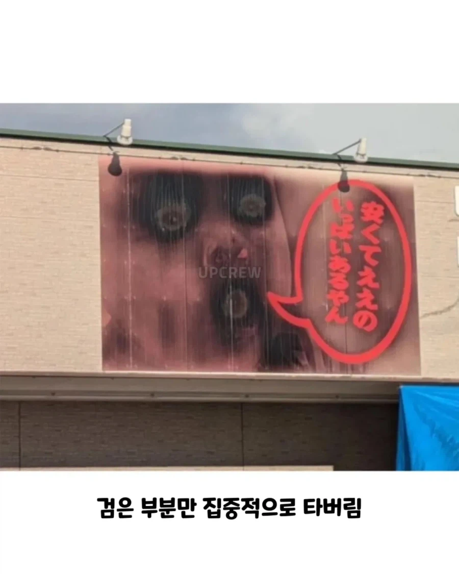 사진이 햇빛에 그을려지면 생기는 일_2.webp