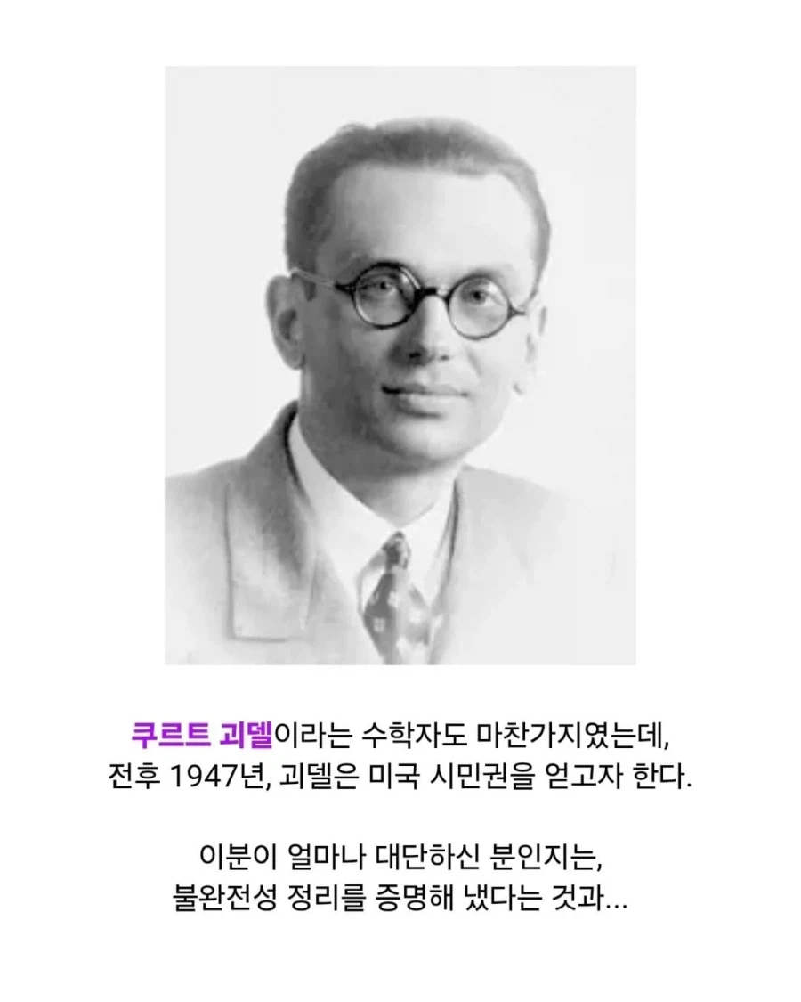 귀화시험 깽판 친 괴델.jpg_2.webp