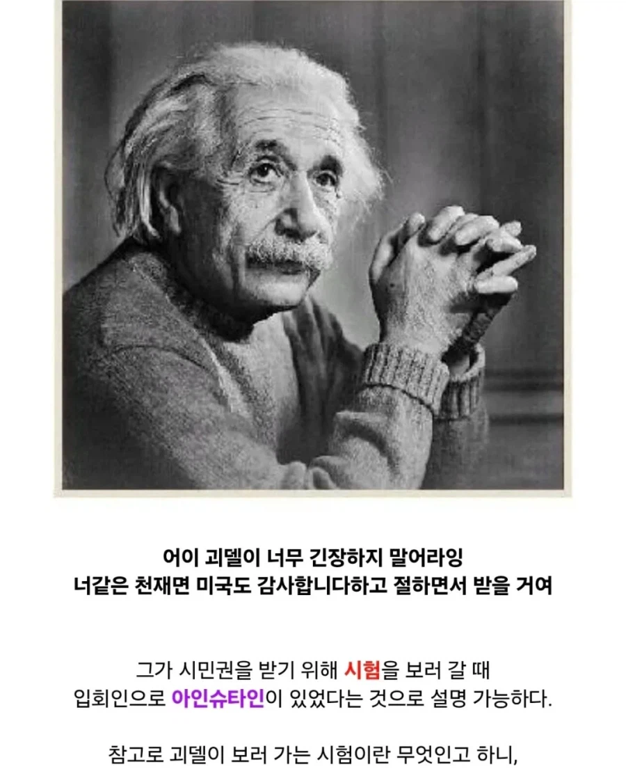 귀화시험 깽판 친 괴델.jpg_3.webp