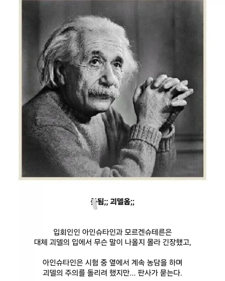 귀화시험 깽판 친 괴델.jpg_7.webp