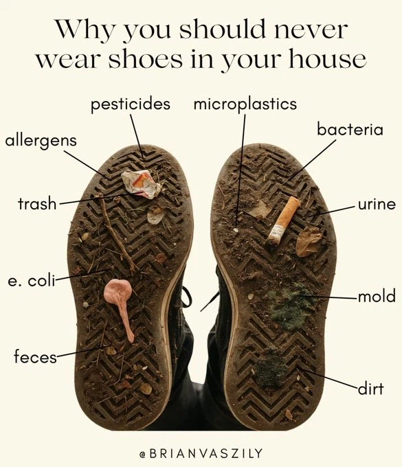 집안에 신발 신고 들어오는 양놈들이 꼭 명심해야 할 지식_1.webp