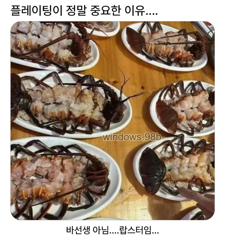 플레이팅이 생각보다 중요한 이유.jpg_1.webp