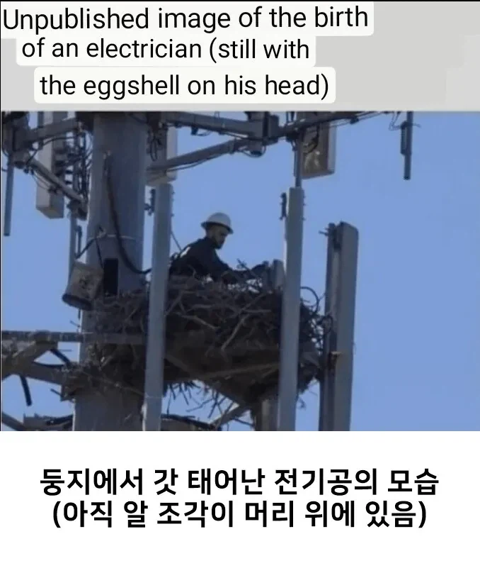 갓 태어난 전기공 모습_1.webp