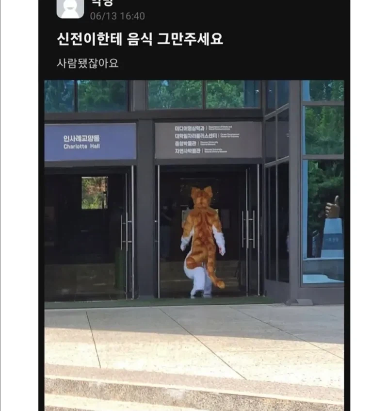 길냥이한테 함부로 밥 주면 생기는 일_2.webp