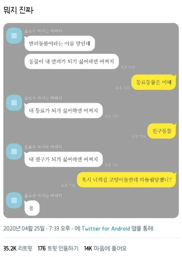 ? : 반려동물이 반려가 되기 싫어하면 어쩌지?_1.webp