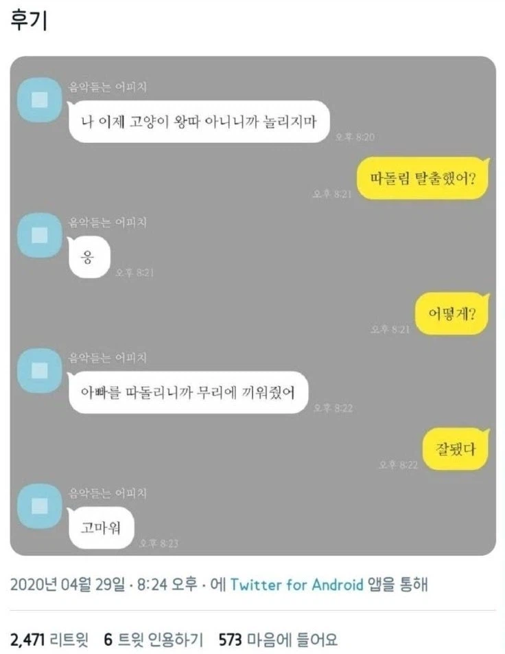 ? : 반려동물이 반려가 되기 싫어하면 어쩌지?_2.webp