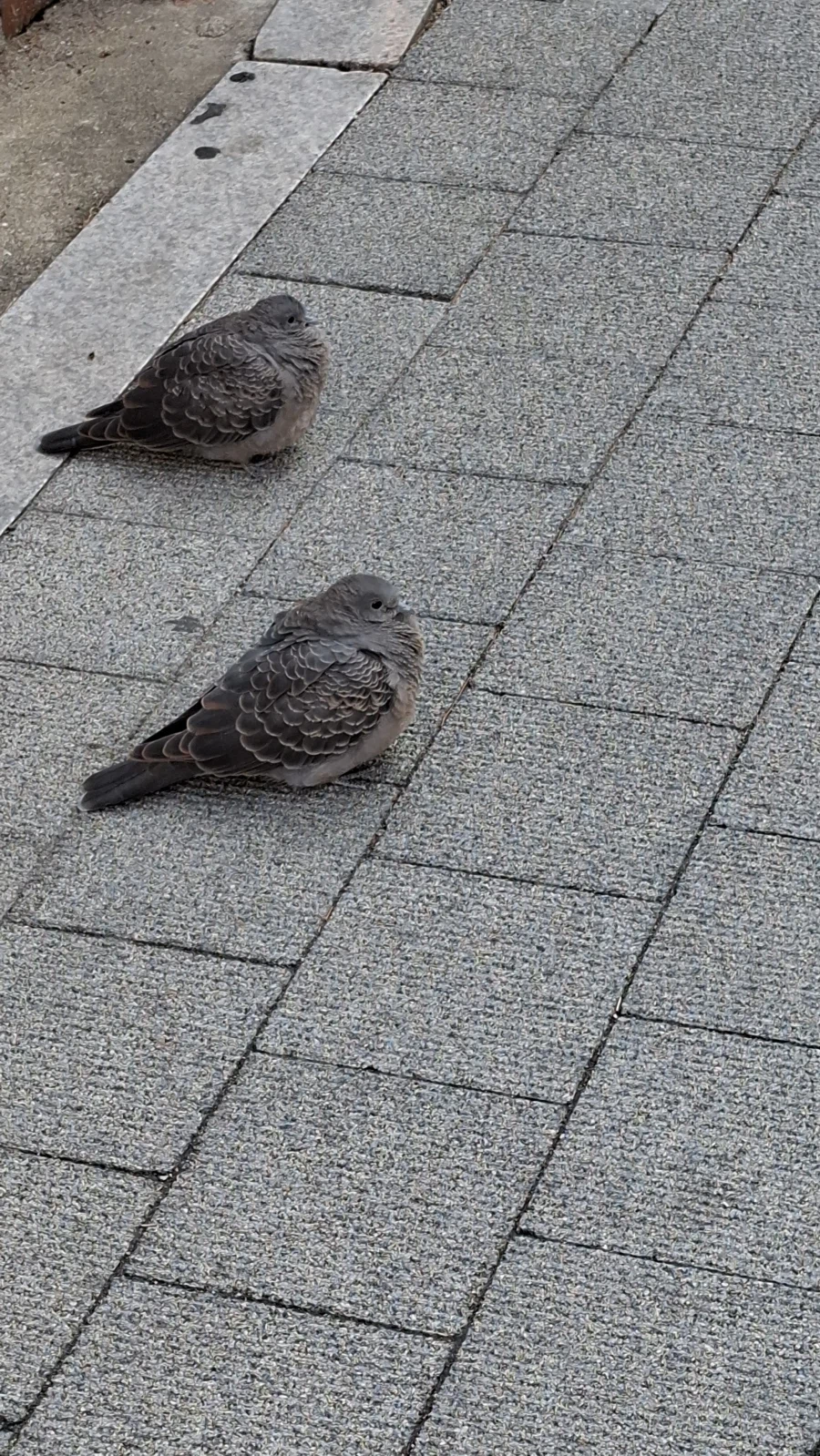 여러분 도와주세여..._1.webp