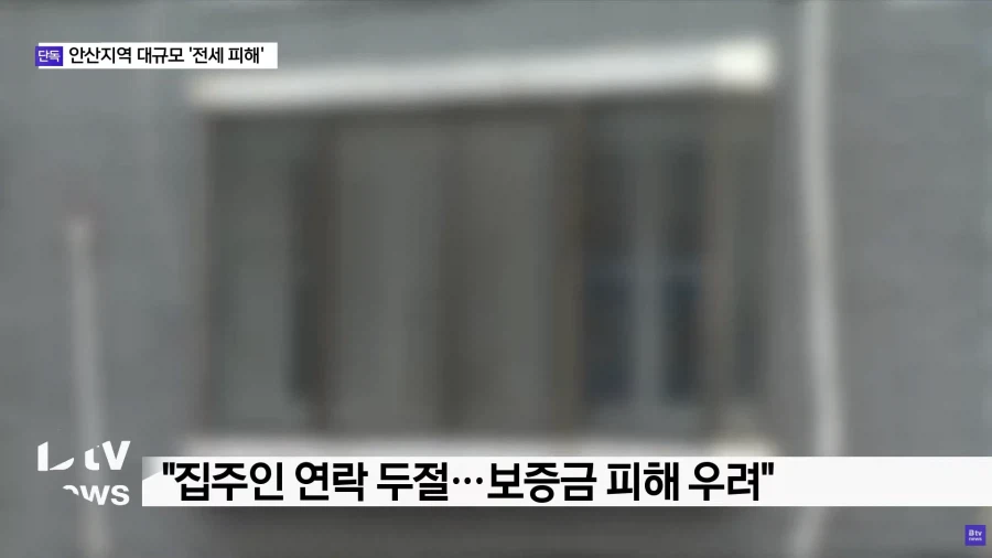 안산 대규모 전세 사기 피해_3.webp