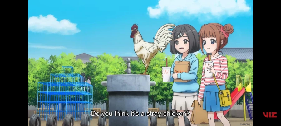 어? 닭이다! 귀여워~_1.webp