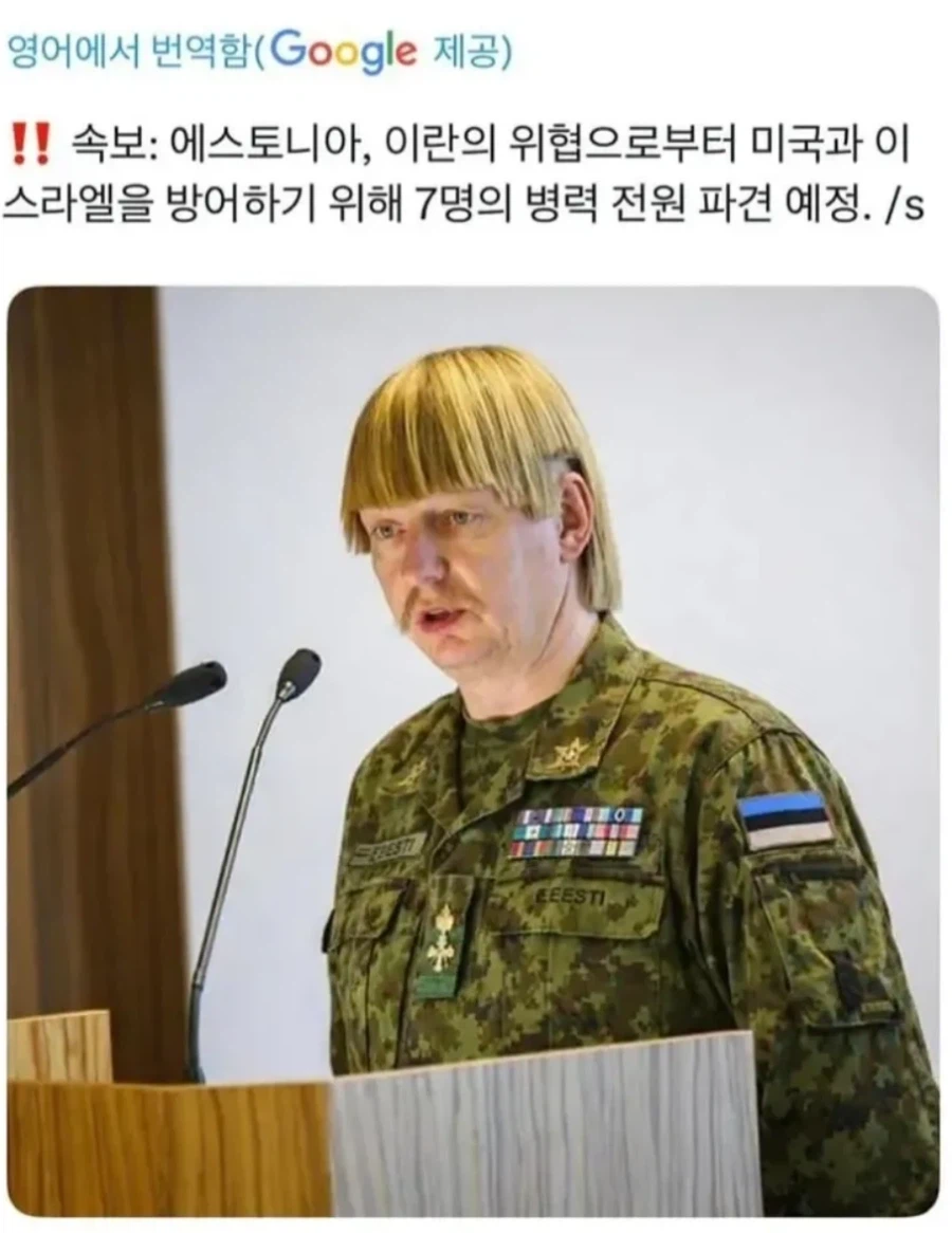 전군을 이스라엘을 방어하기 위해 파견한 국가_1.webp