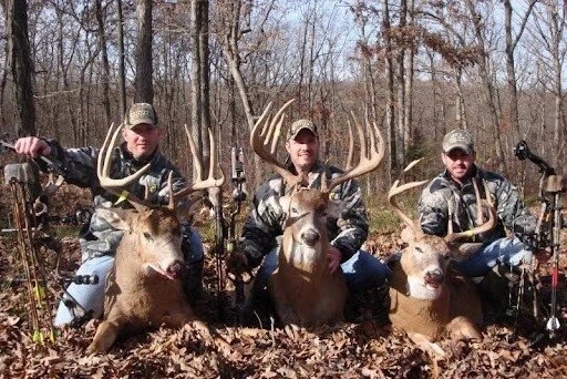 왕가슴 사이즈_1.webp