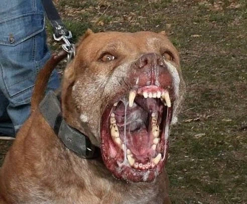 싸워 이기면 인간 최상위 스펙_3.webp