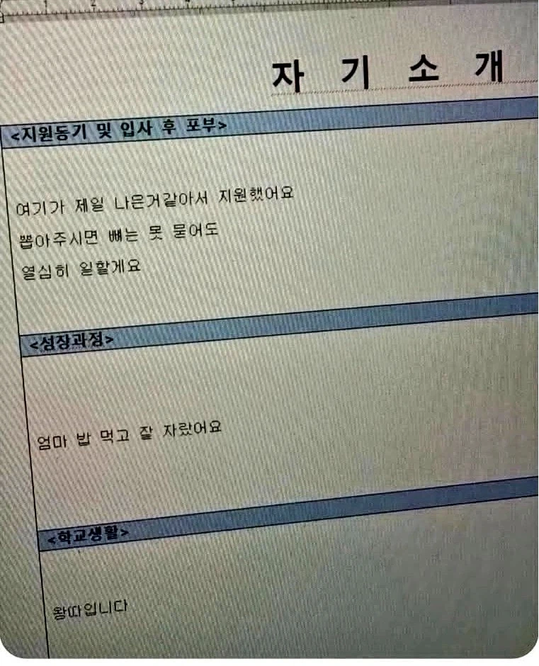 자소서 ㅈㄴ 폭력적이다_1.webp