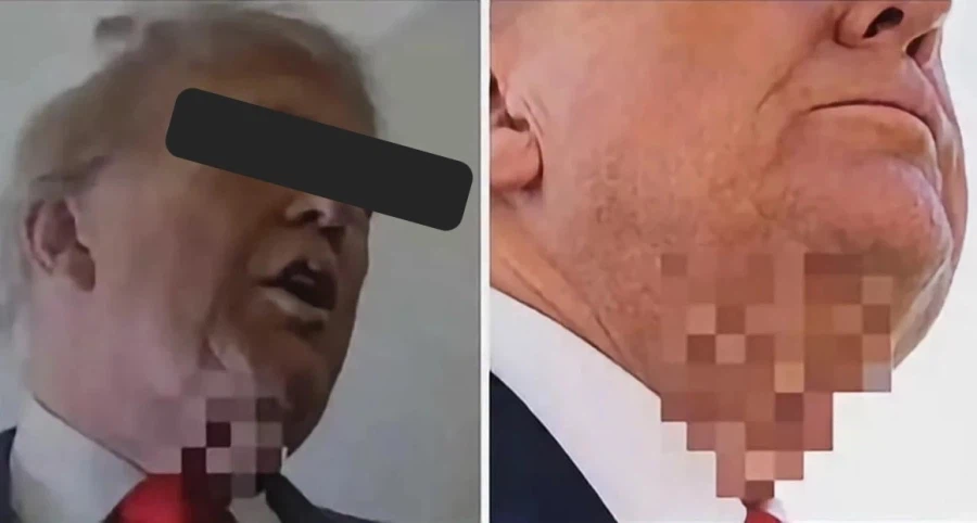 일본 TV의 뽀르노 검열 AI가 늘 모자이크 건다는 인물_1.webp