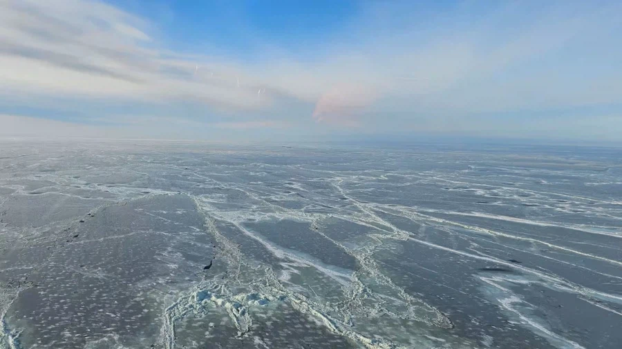 얼음바다에서 구조요청한 독일인_1.webp