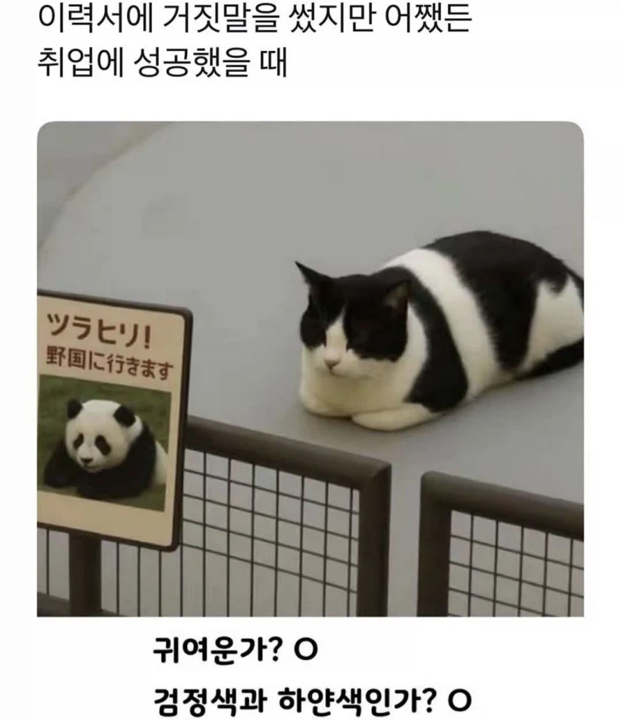 이거 취업 사기 아니냐?_1.webp