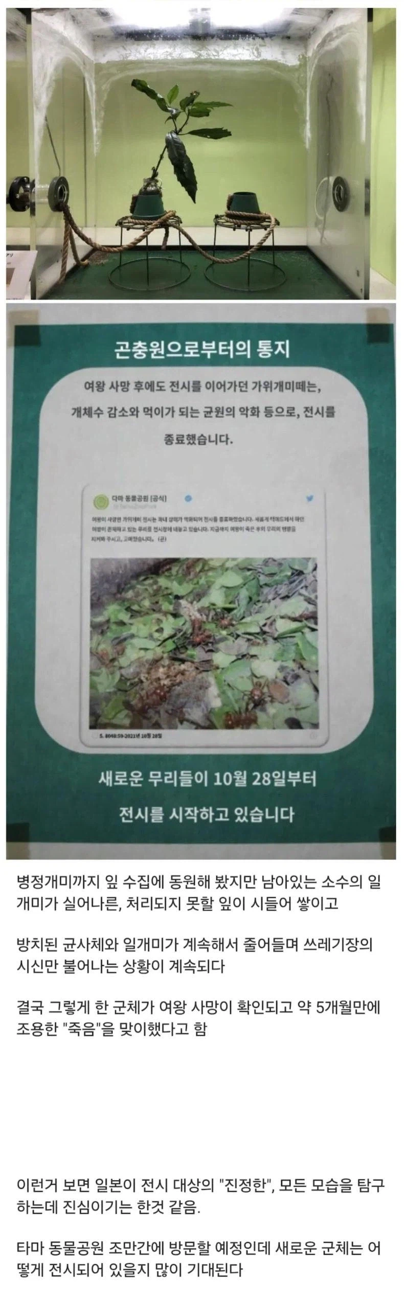 여왕의 죽음과 왕국의 멸망을 그대로 보여준 일본 동물원.jpg_2.webp