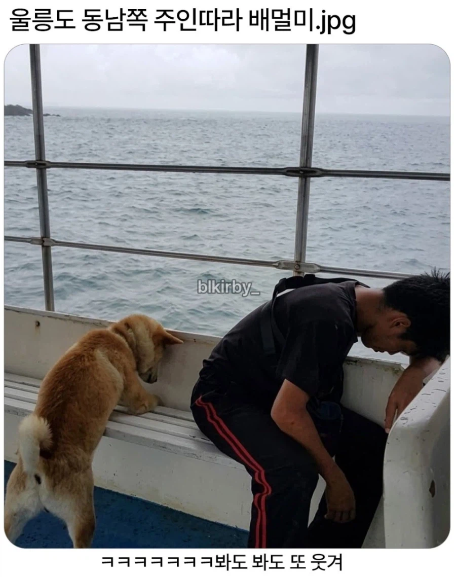 독도 독도 같이가는 중_1.webp
