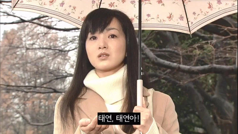 일본 여자들이 한류에 미쳐있던 시절_2.webp