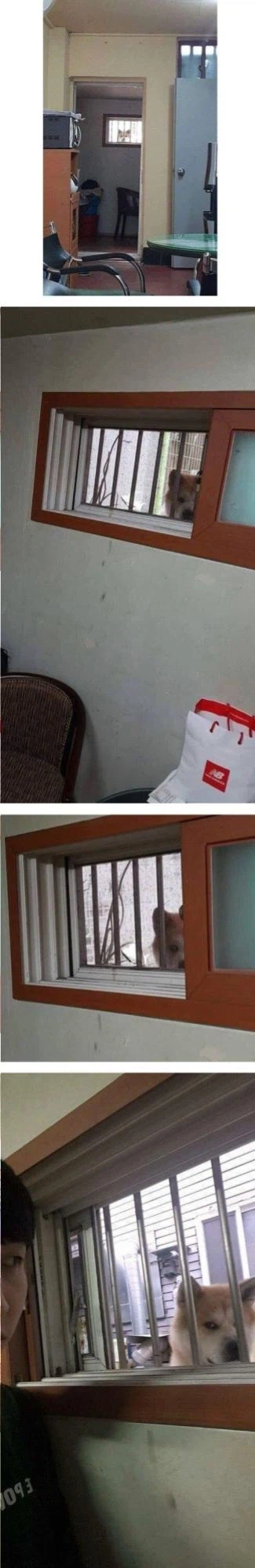 설마 이런 곳에..?_1.webp