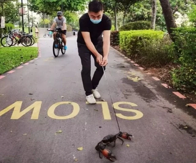 우리 뎅뎅이는 안물어욧!!!_1.webp