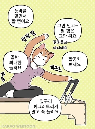 200만원이 넘는 허먼밀러 의자 특._2.webp
