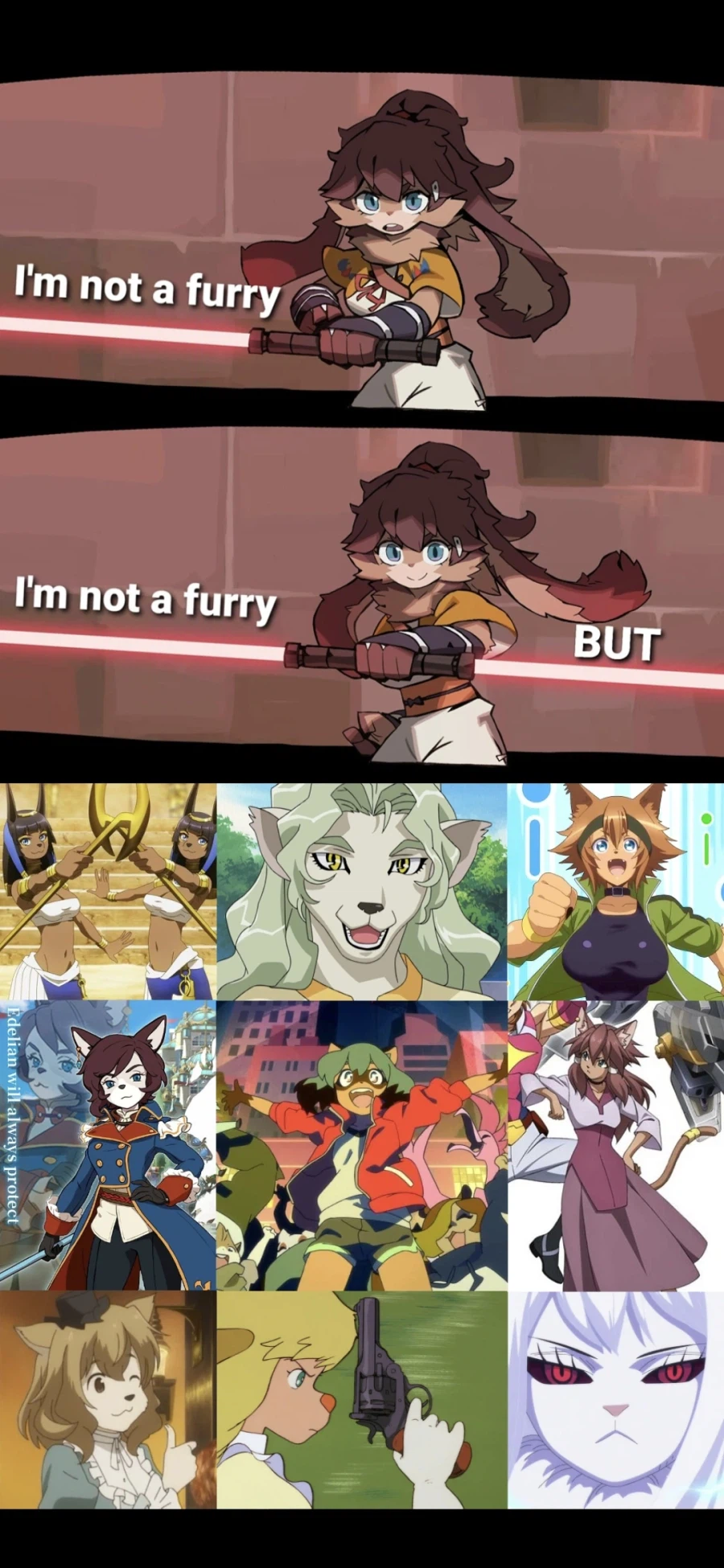 서양쪽 아임 낫 퍼리는 어떤 느낌인지 알아보자_1.webp