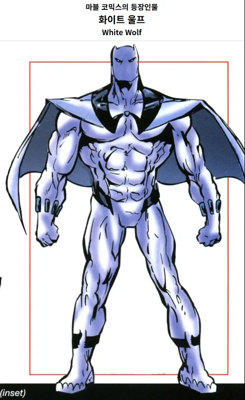 블랙팬서 백인버전_1.webp