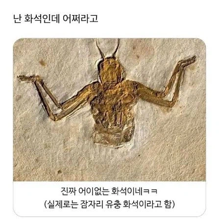 bts)광화문으로 서로에게 깨시민이다 이러는게 제일 유머임_1.webp