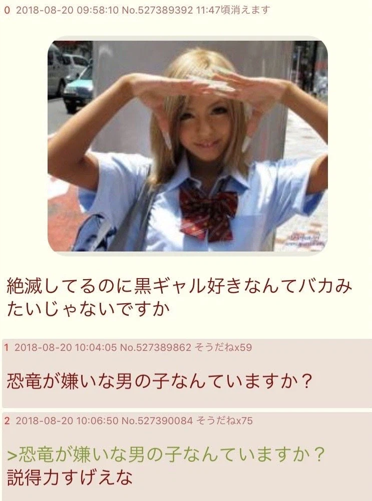 ???: 멸종한 흑갸루를 좋아하다니 바보 같잖아요_2.webp