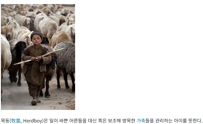 붉은사막 방송보는데 뭔가 이상한데...?_3.webp