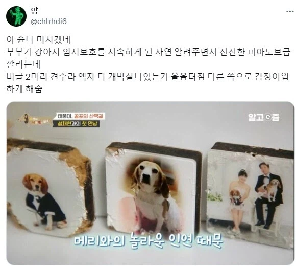 사연은 감동적인데 자료화면이 시강.jpg_1.webp