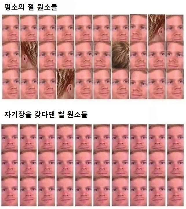 자기장을 갖다대면 일어나는 일_1.webp