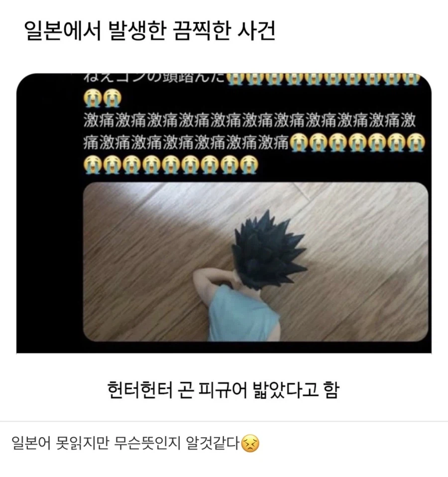 일본에서 발생한 끔찍한 사건_1.webp