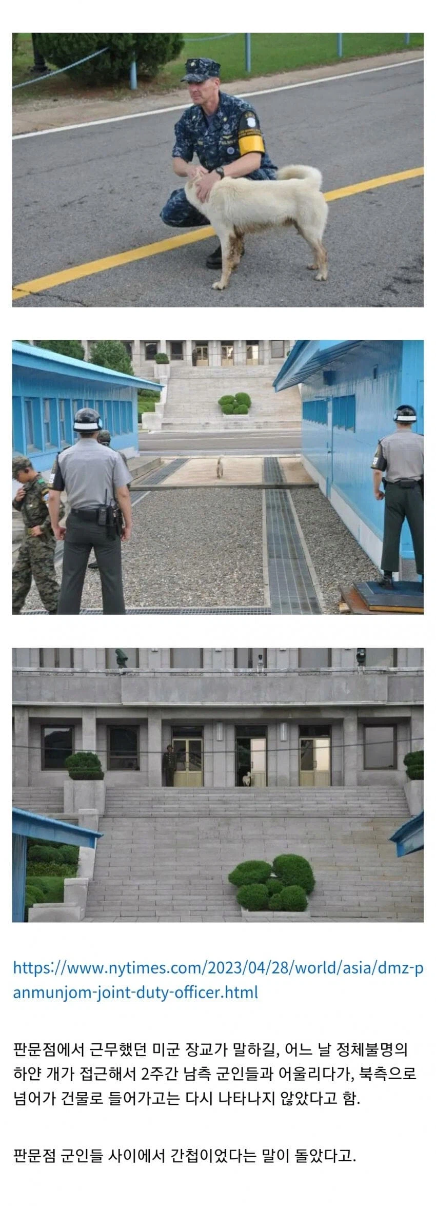 월북한 멍멍이_1.webp