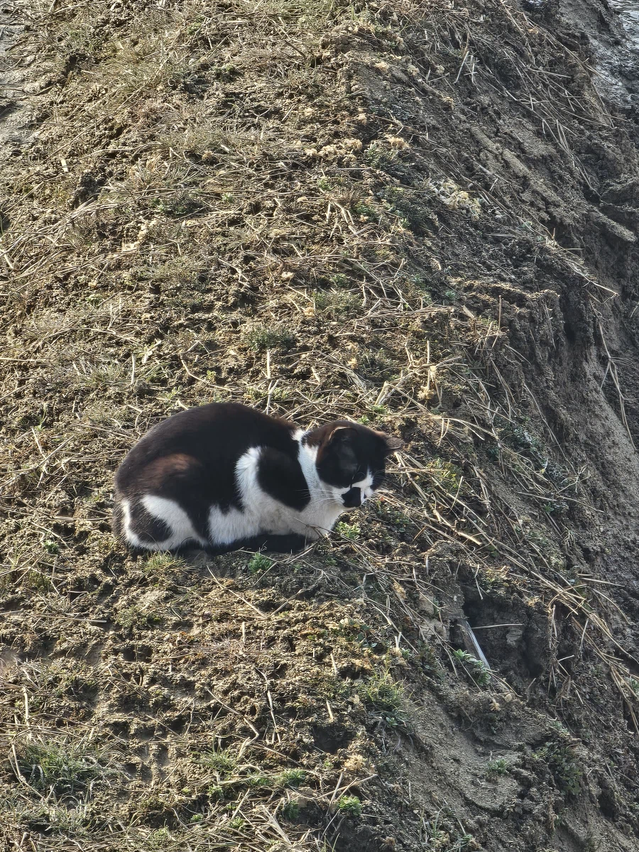 시골엔 놀거리가 없어서_1.webp