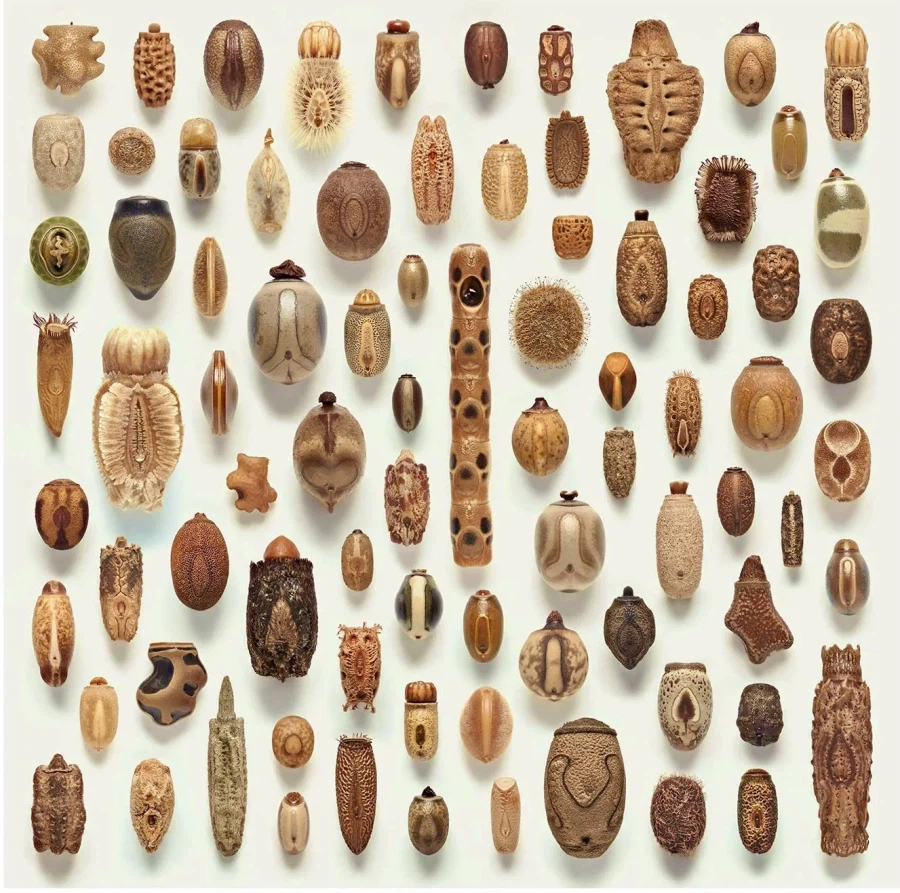 뭔지 모르고 보면 예술품 같음_1.webp