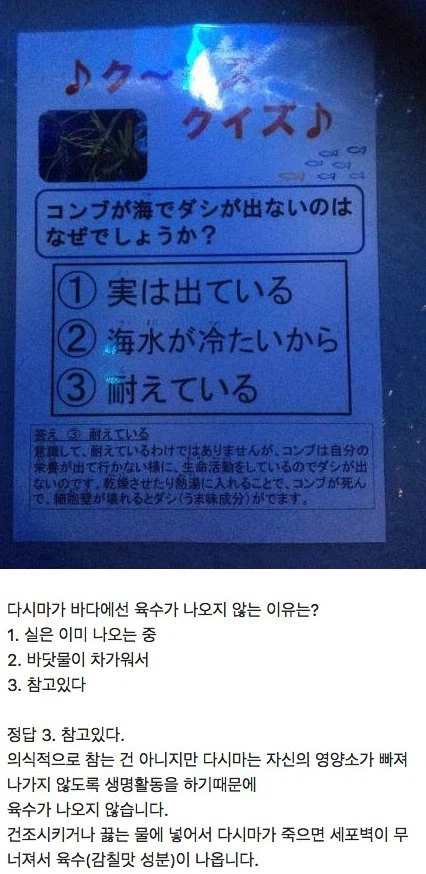 ???: 다시마는 바다 속에 있으니까 바다 자체가 거대한 육수아님?_1.webp