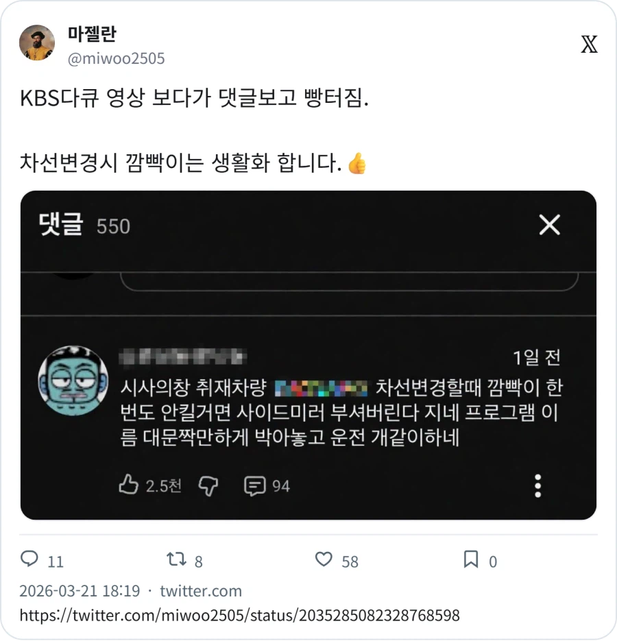 KBS 다큐 영상에 달린 댓글_1.webp