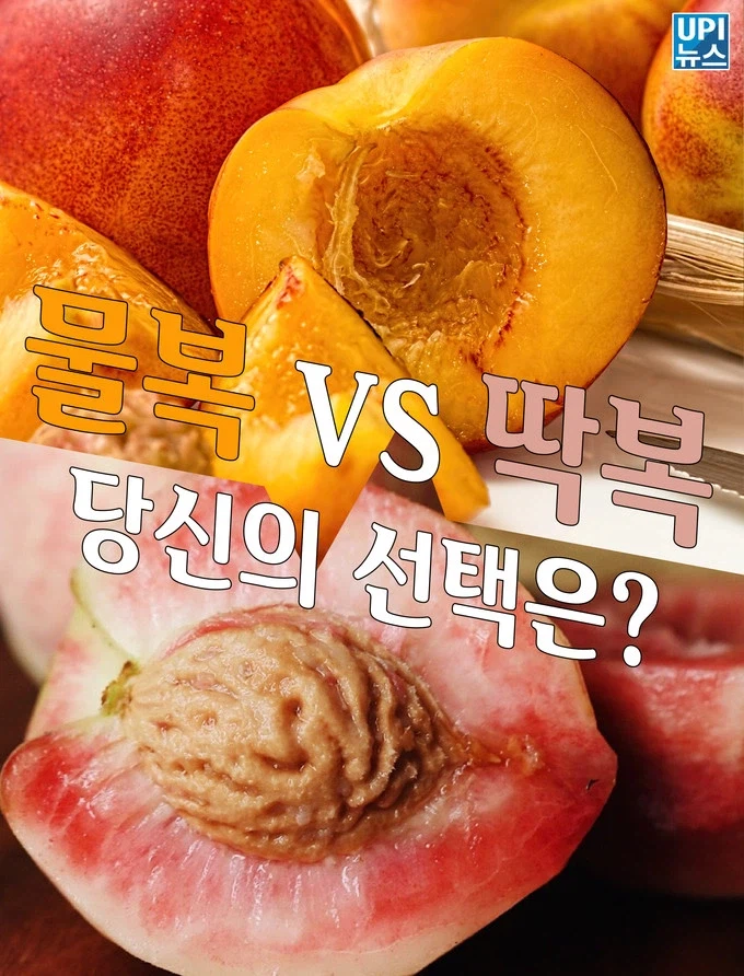 슬슬 편 가르기 나올 때 됐군_1.webp