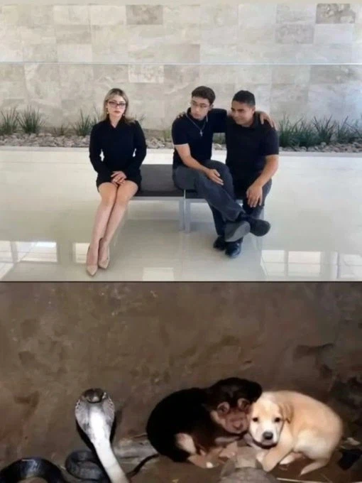 아싸 친구 2명이 앉아 있는데 옆에 미인이 앉았을 때_1.webp