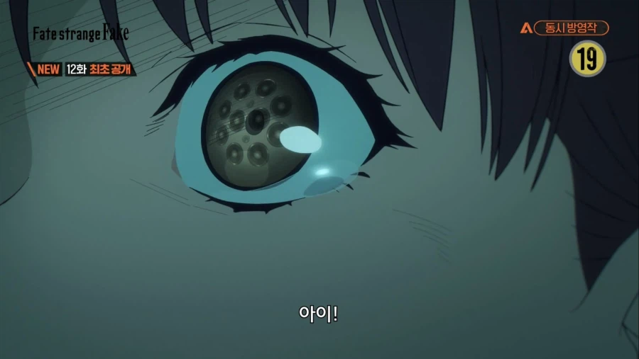 페이트) 2부 종장 깬 사람 트라우마 깨우는 페스페_2.webp